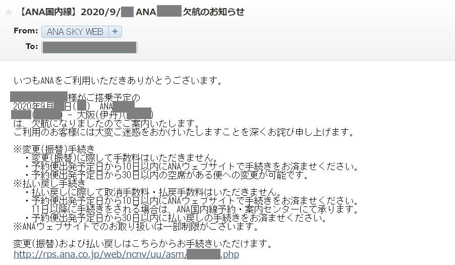 搭乗予定の飛行機が欠航 予約変更のてんやわんやと次にババをひかないための考察 ひとみにカルチャーショックを 搭乗予定の飛行機が欠航 予約変更のてんやわんやと次にババをひかないための考察 ひとみにカルチャーショックを