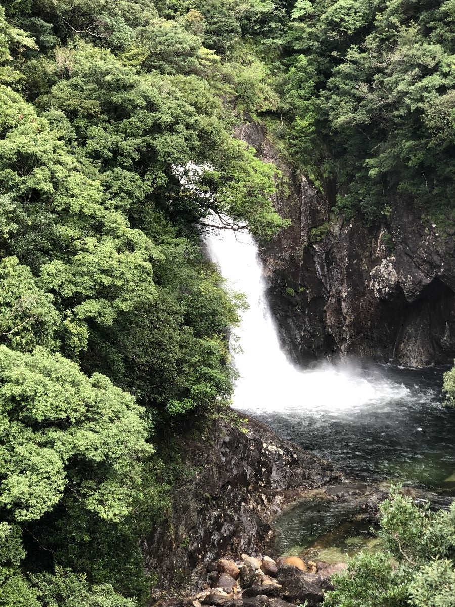 yakushima