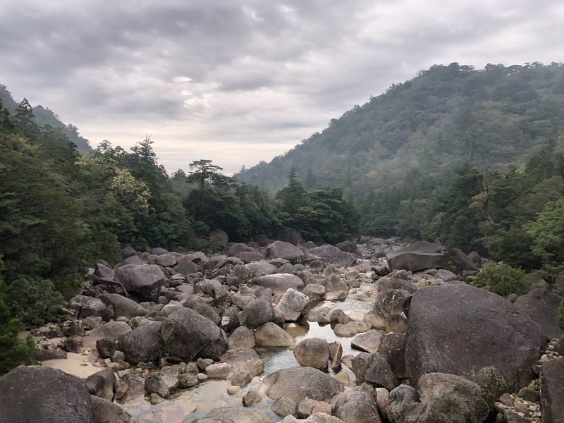 縄文杉トレッキングツアー