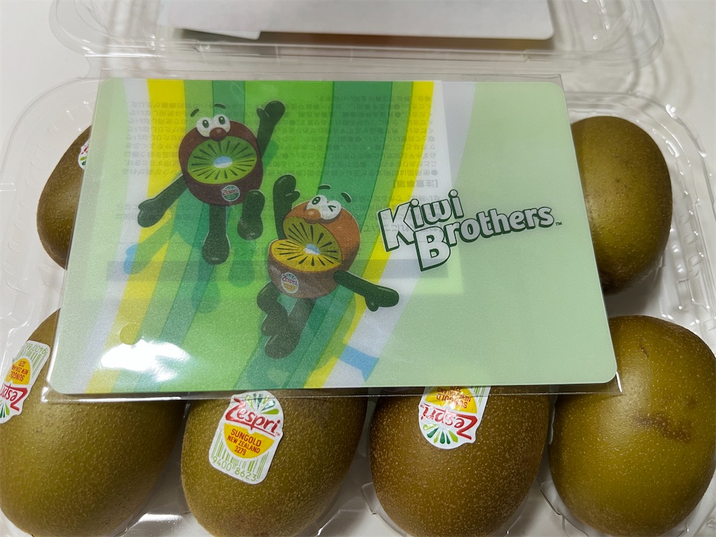 Zespri ゼスプリ キウイブラザーズ バケツ 2個/ミニカッティング
