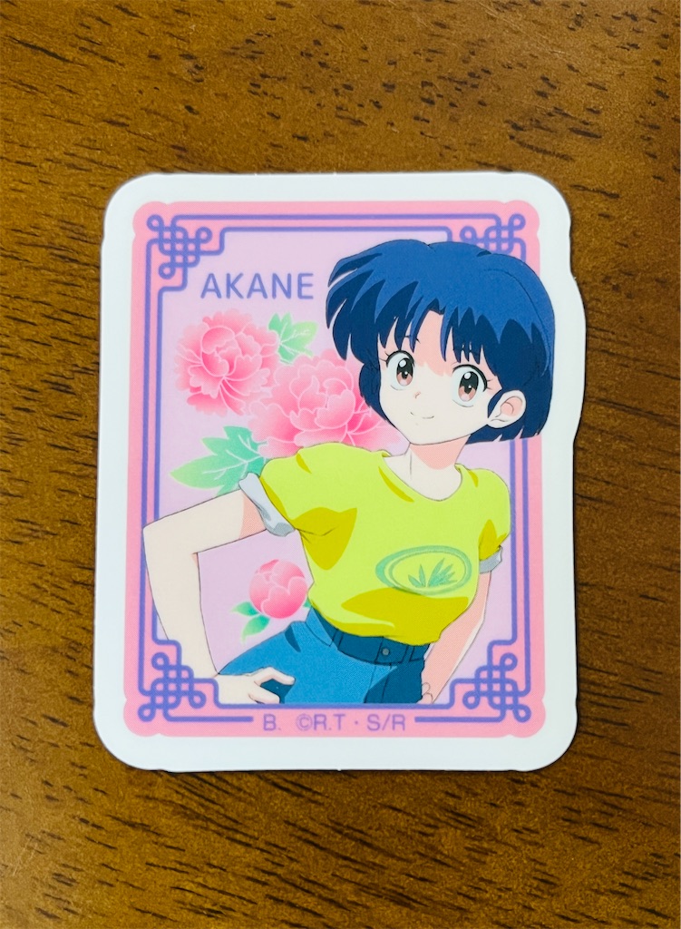 f:id:hitomickeychan:20250203131503j:image