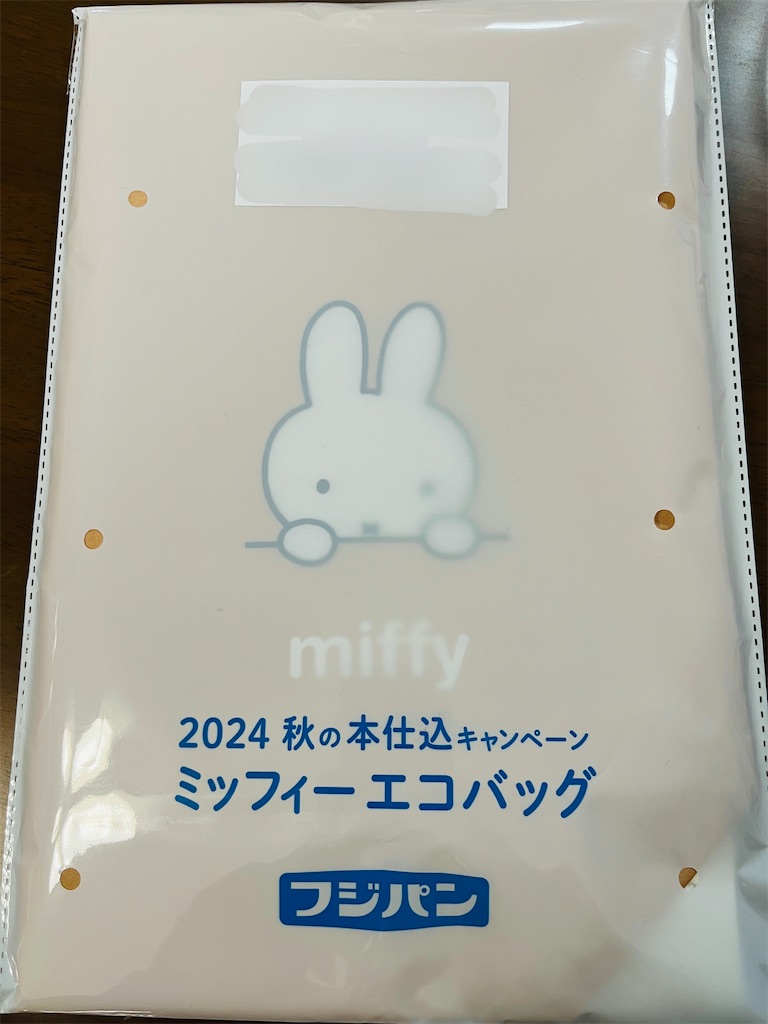 f:id:hitomickeychan:20250211104748j:image