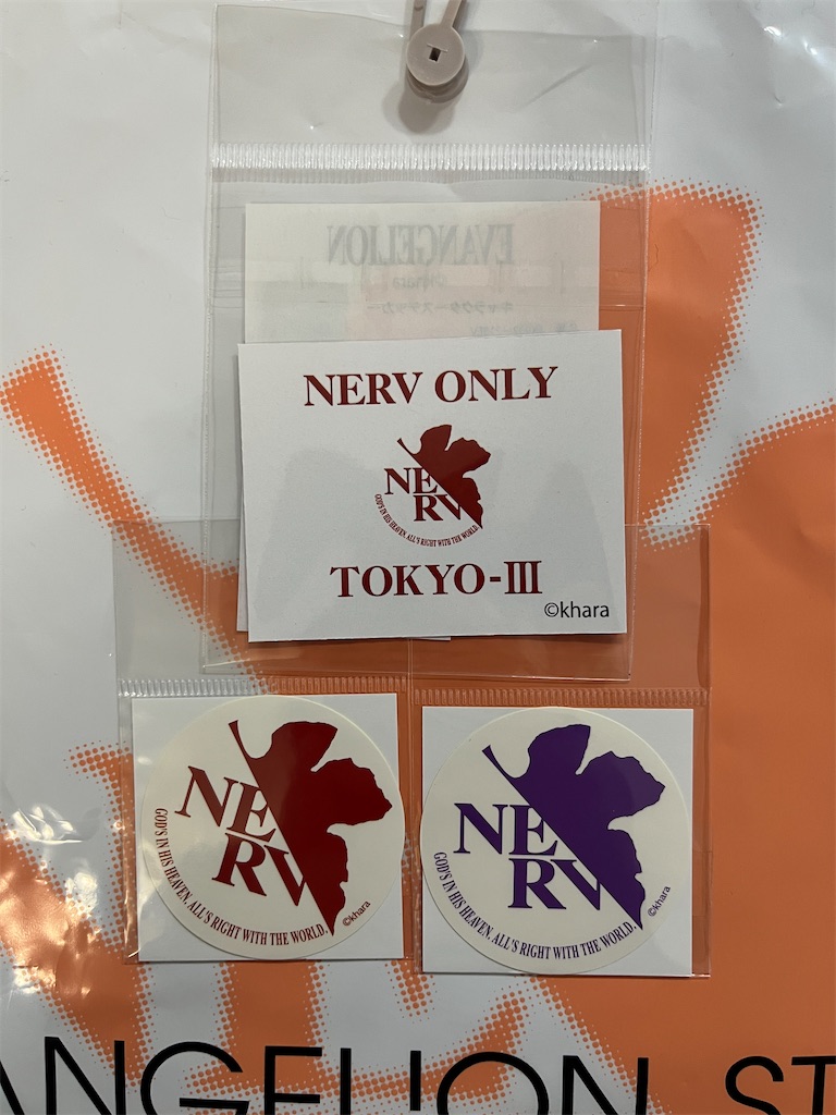 f:id:hitomickeychan:20250322092624j:image