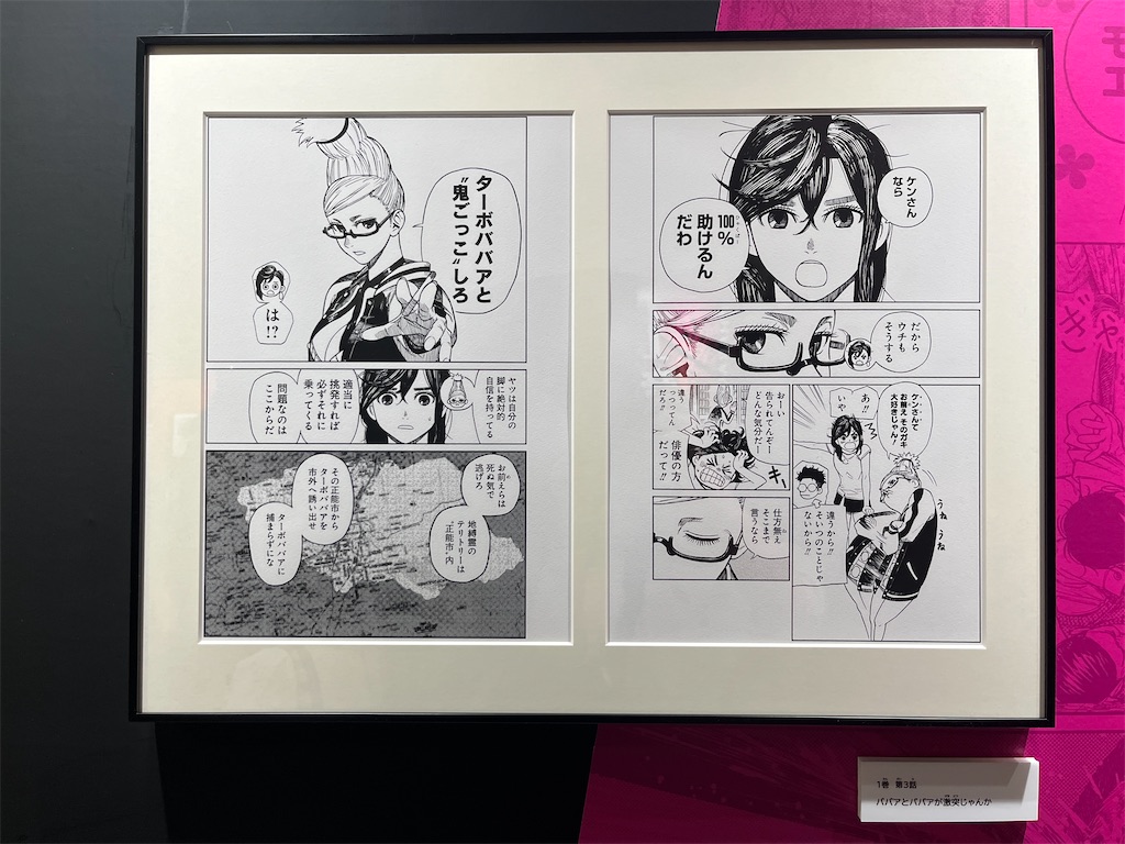f:id:hitomickeychan:20250623104402j:image f:id:hitomickeychan:20250623104402j:image
