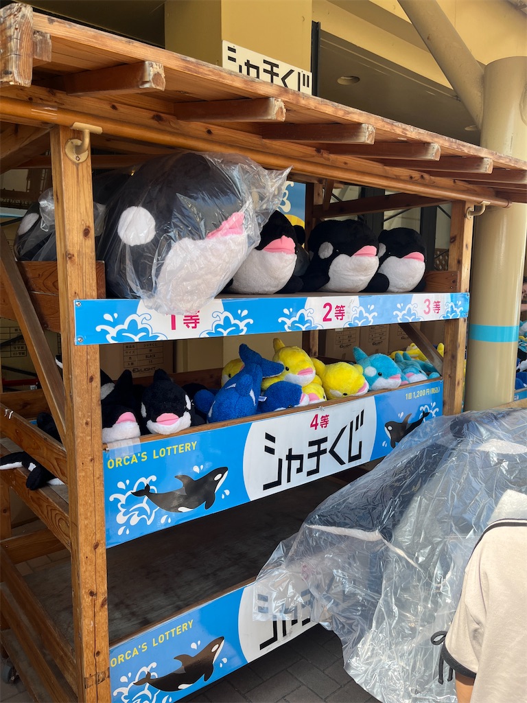 f:id:hitomickeychan:20250830120341j:image