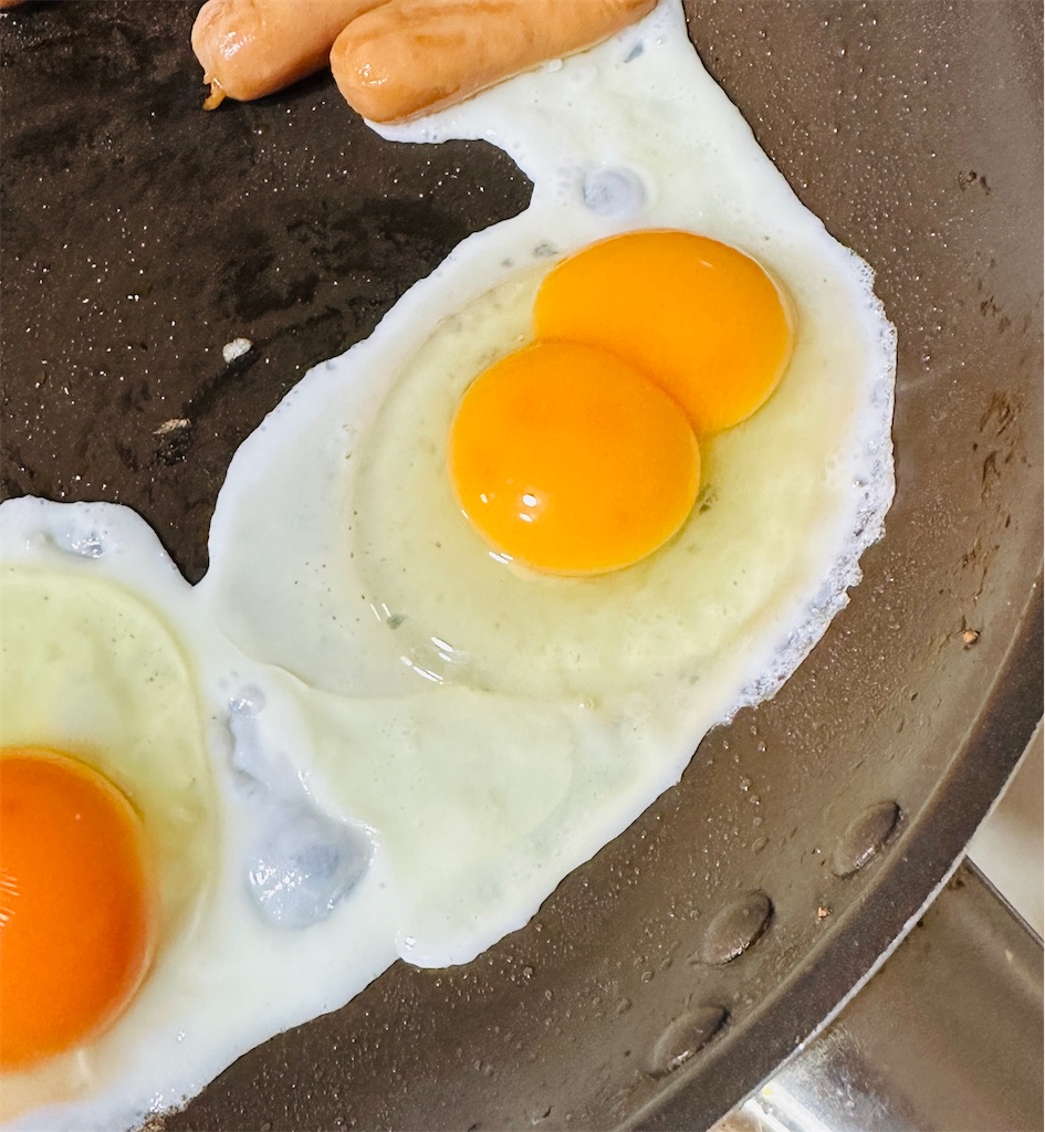 双子の卵】二黄卵がでました～～#最近撮った写真は | 4兄妹がいる日常