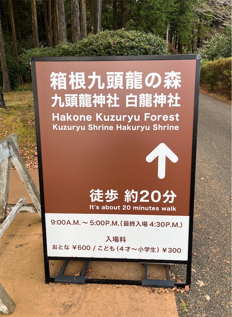 f:id:hitomickeychan:20260226143247j:image