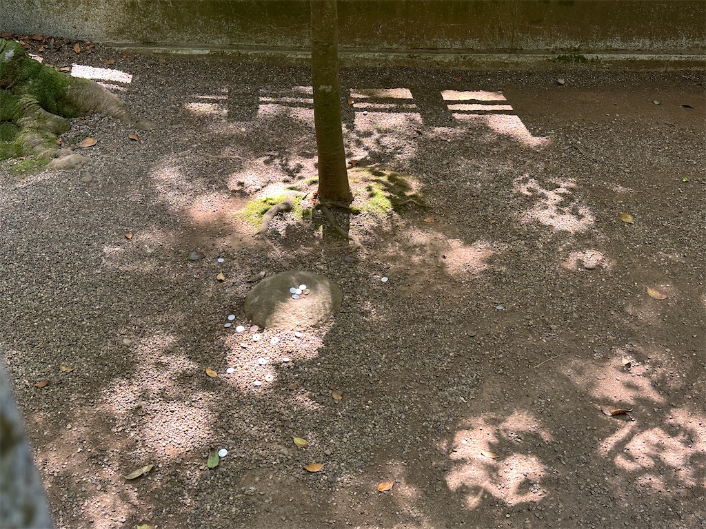 f:id:hitomickeychan:20260523113834j:image