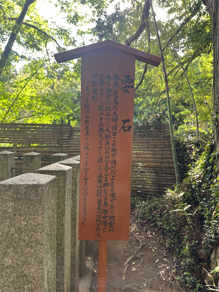 f:id:hitomickeychan:20260523114205j:image