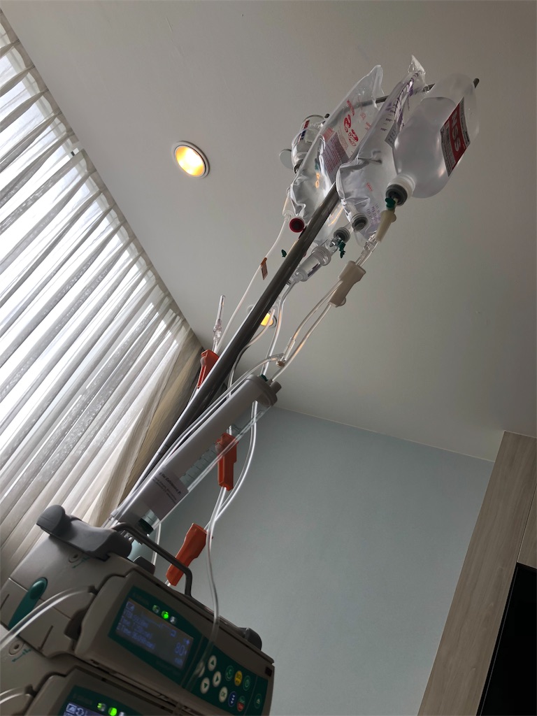 f:id:hitomoi:20190710100216j:image f:id:hitomoi:20190710100216j:image