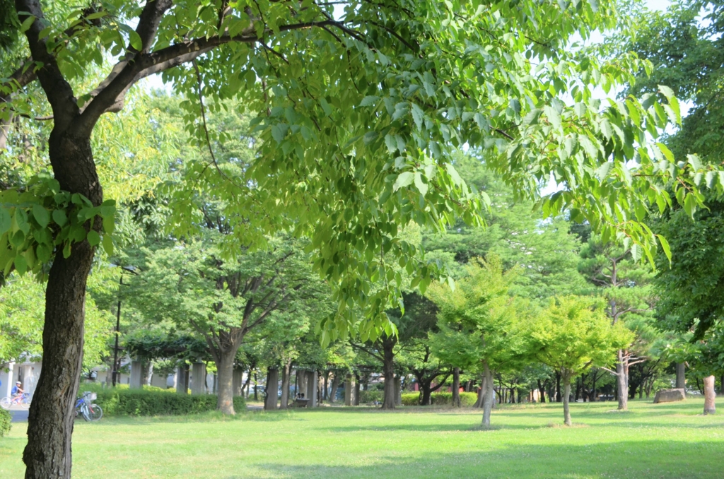 f:id:hitomonji:20160816215357j:plain f:id:hitomonji:20160816215357j:plain