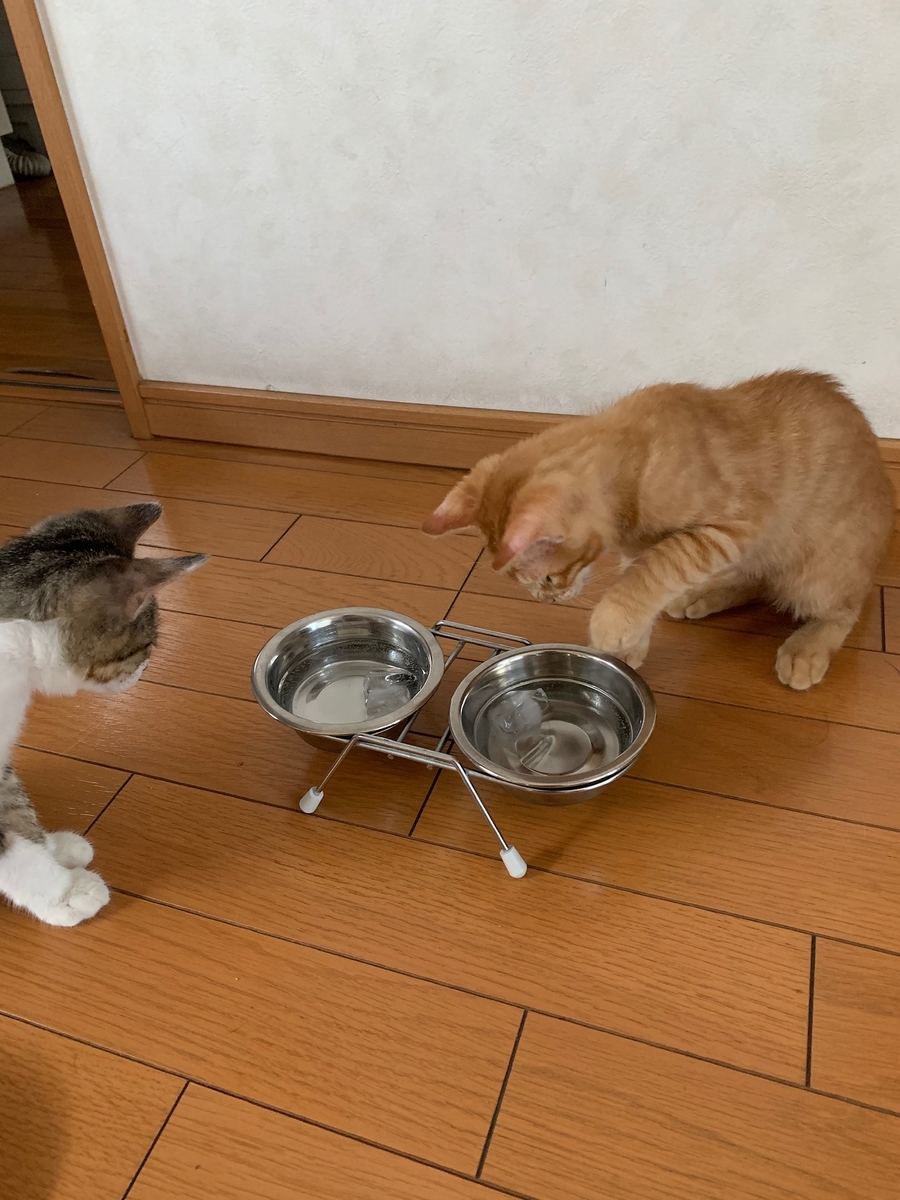 f:id:hitori-jikan:20200720164633j:plain
