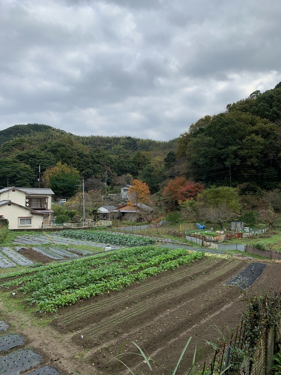 f:id:hitori-jikan:20201123195859j:plain