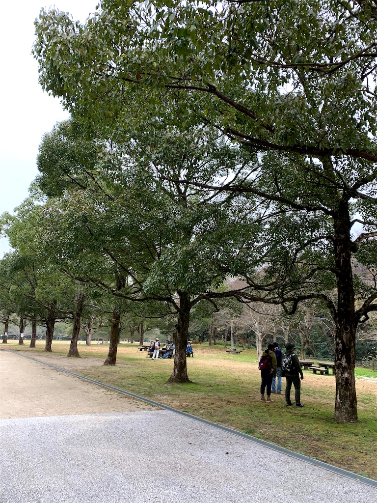 f:id:hitori-jikan:20201213204335j:image