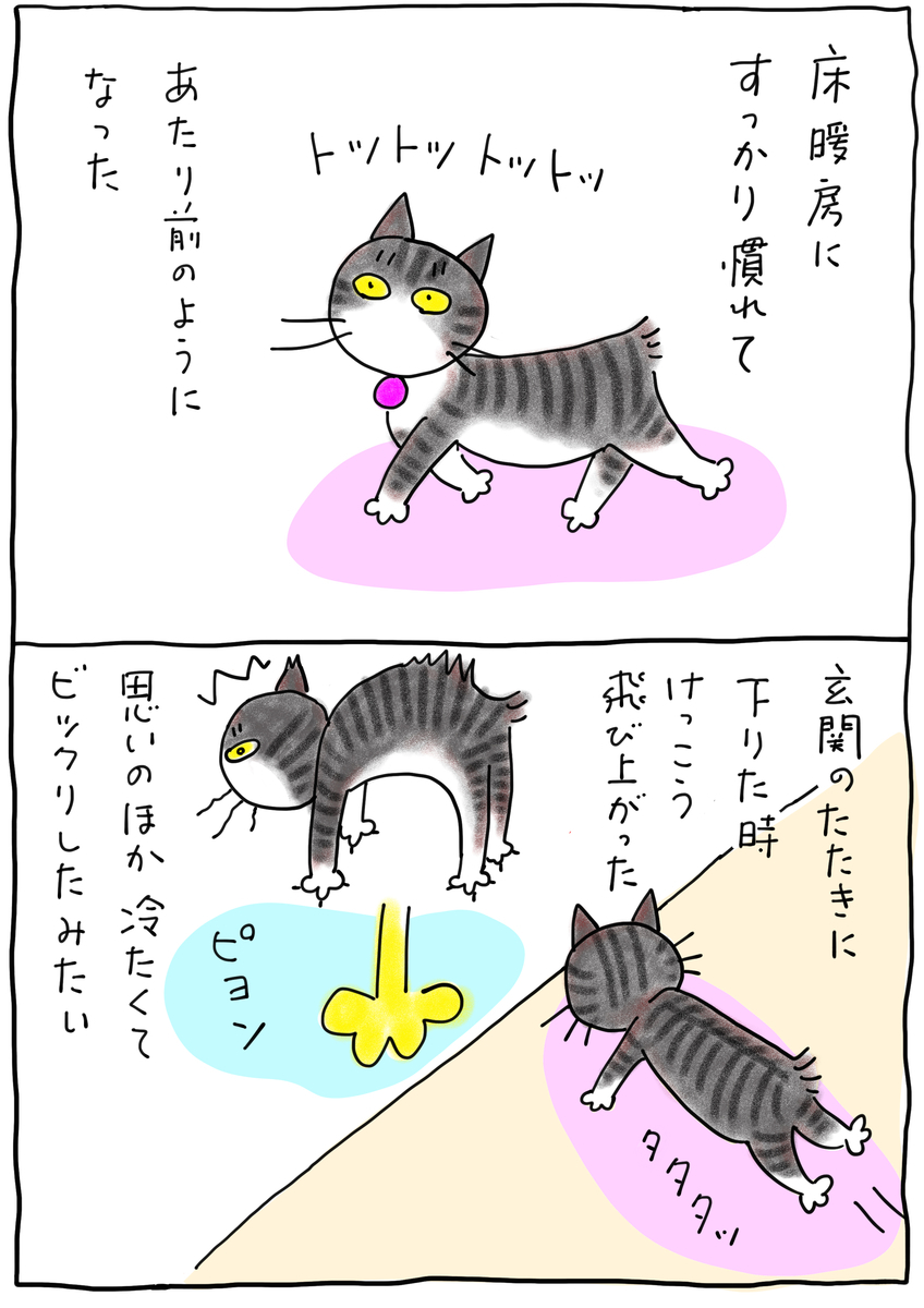 f:id:hitori-jikan:20210328090621j:plain