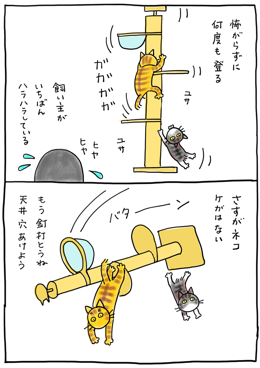 f:id:hitori-jikan:20210511162252j:plain