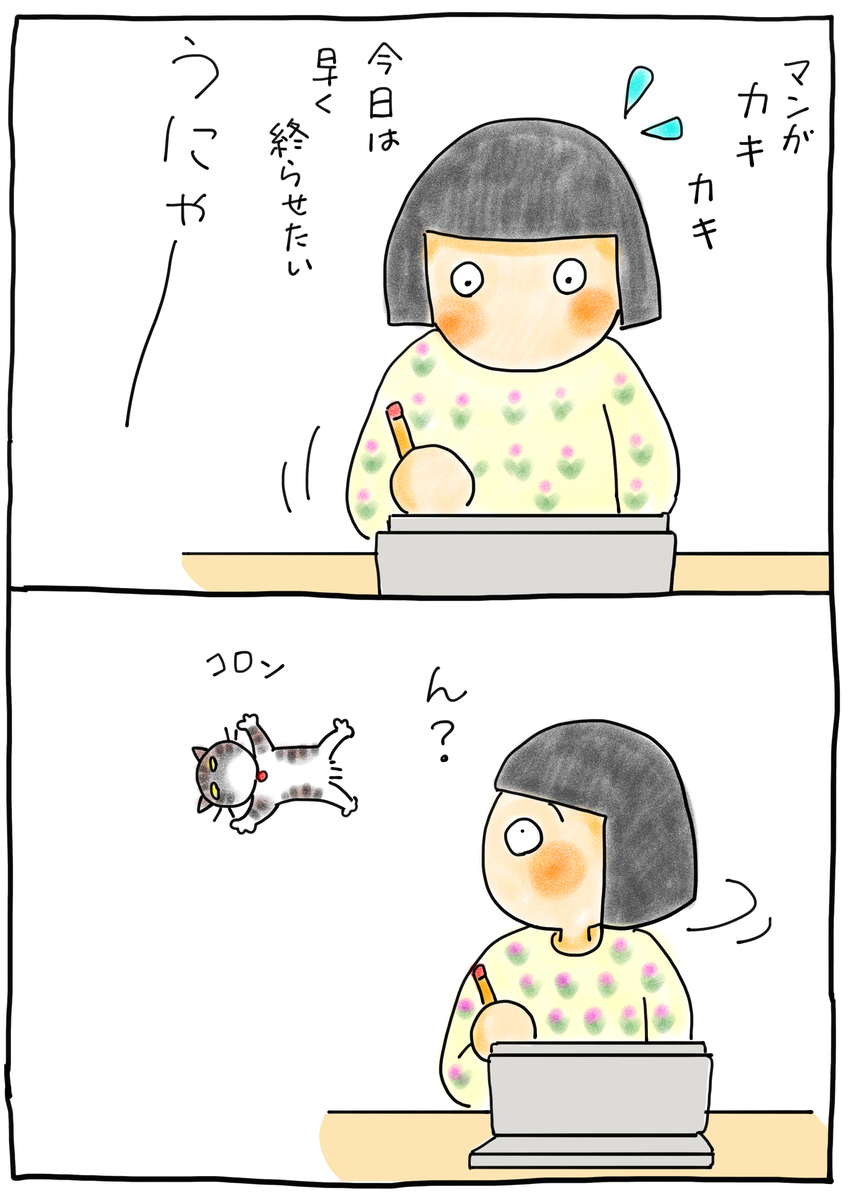 荷物とは 一般の人気 最新記事を集めました はてな