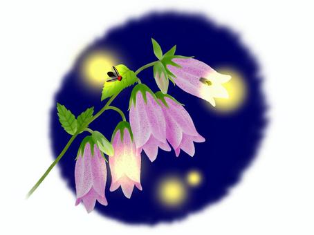 f:id:hitori-jikan:20210609140026j:plain