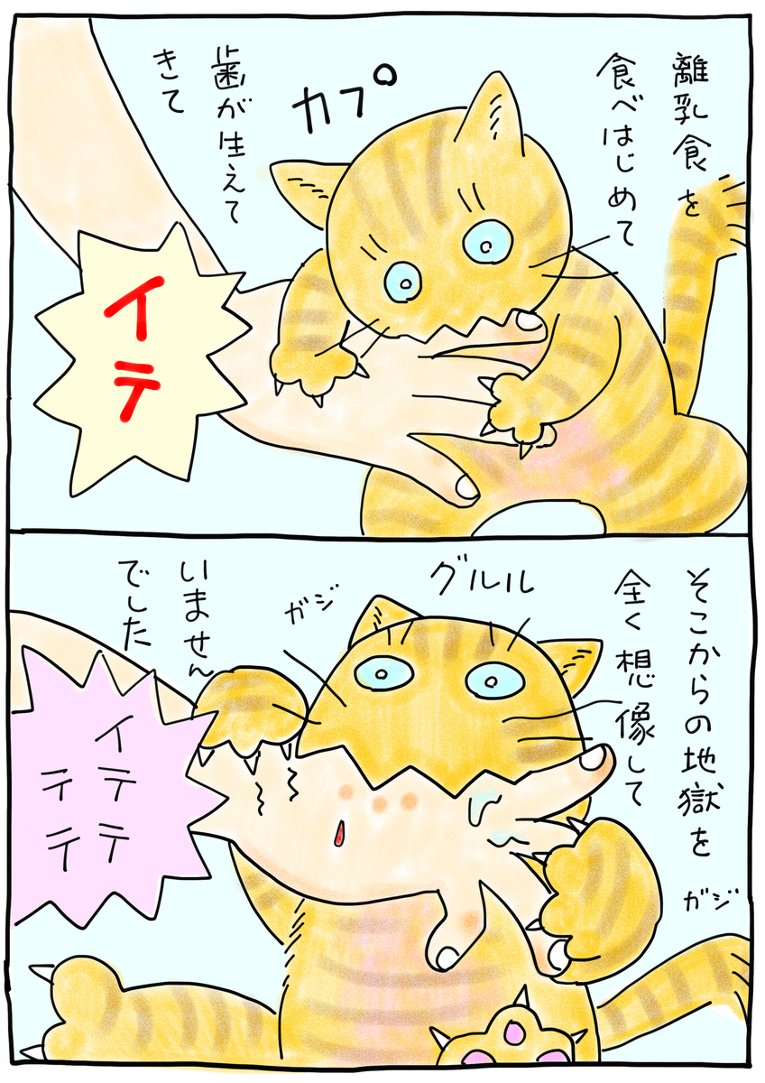 f:id:hitori-jikan:20210617153246j:plain