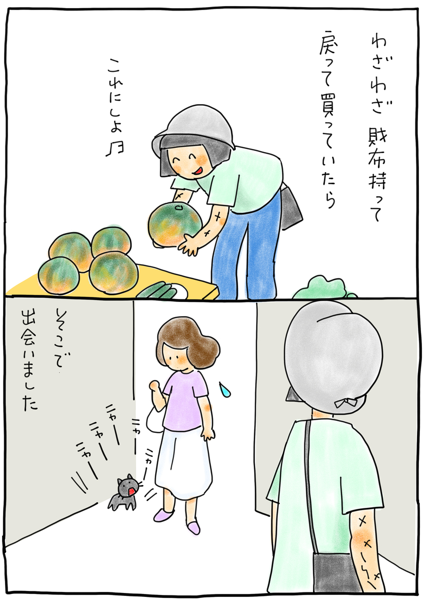 f:id:hitori-jikan:20210620151908j:plain