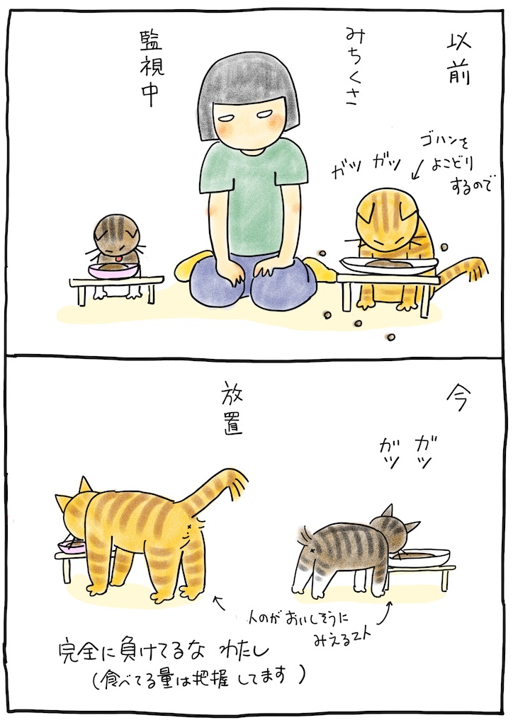 f:id:hitori-jikan:20210813170258j:image