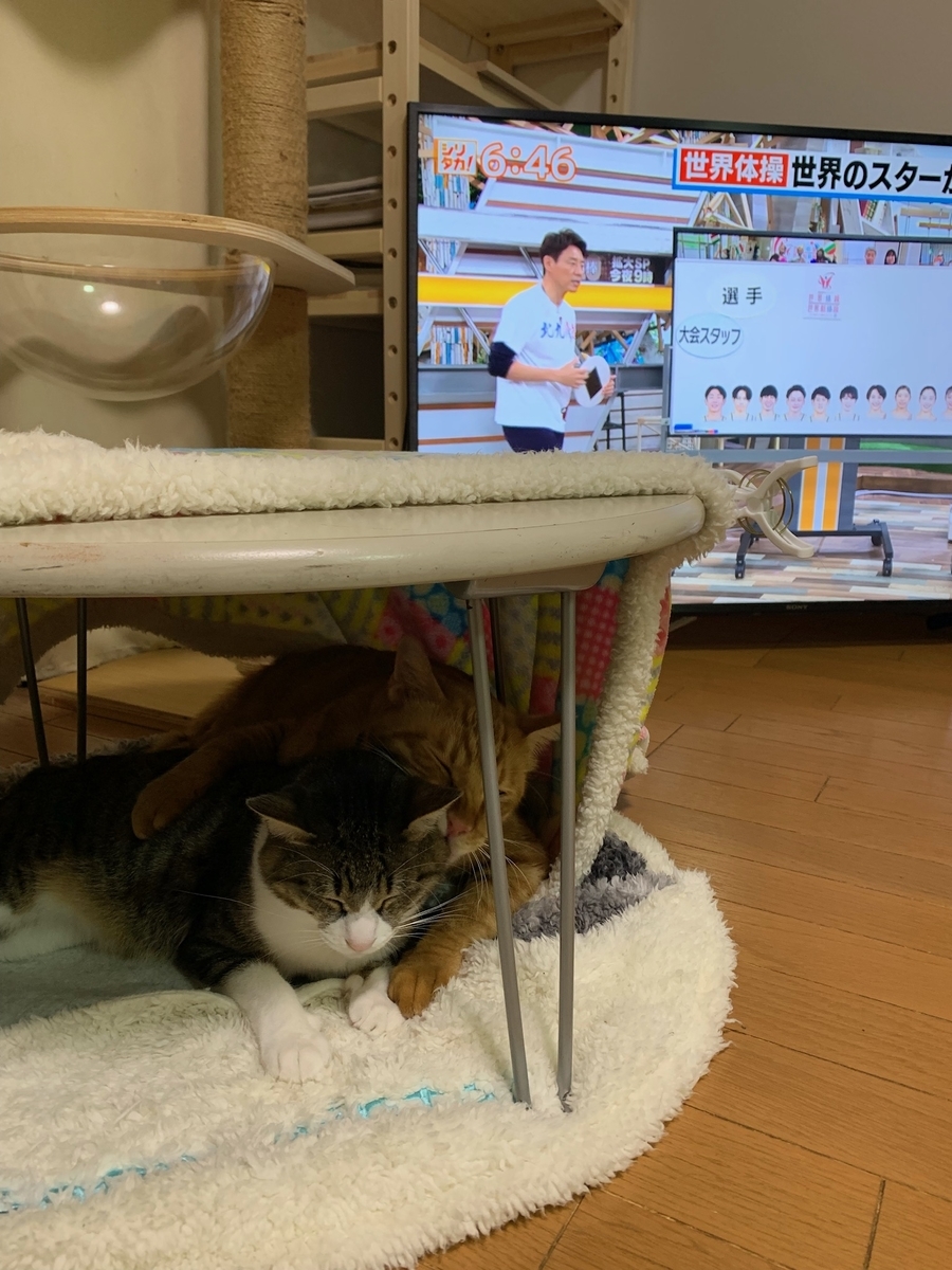 f:id:hitori-jikan:20211021150738j:plain