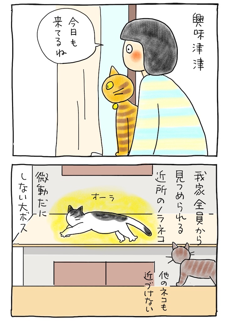 f:id:hitori-jikan:20220401225434j:image