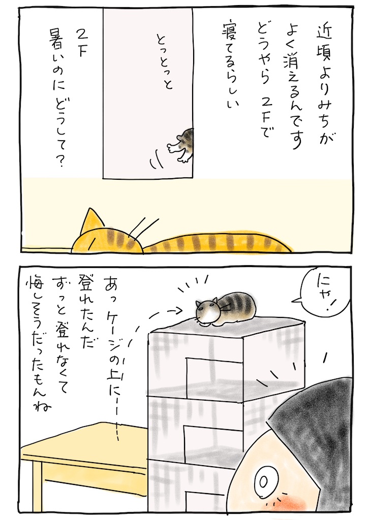 f:id:hitori-jikan:20220730210316j:image