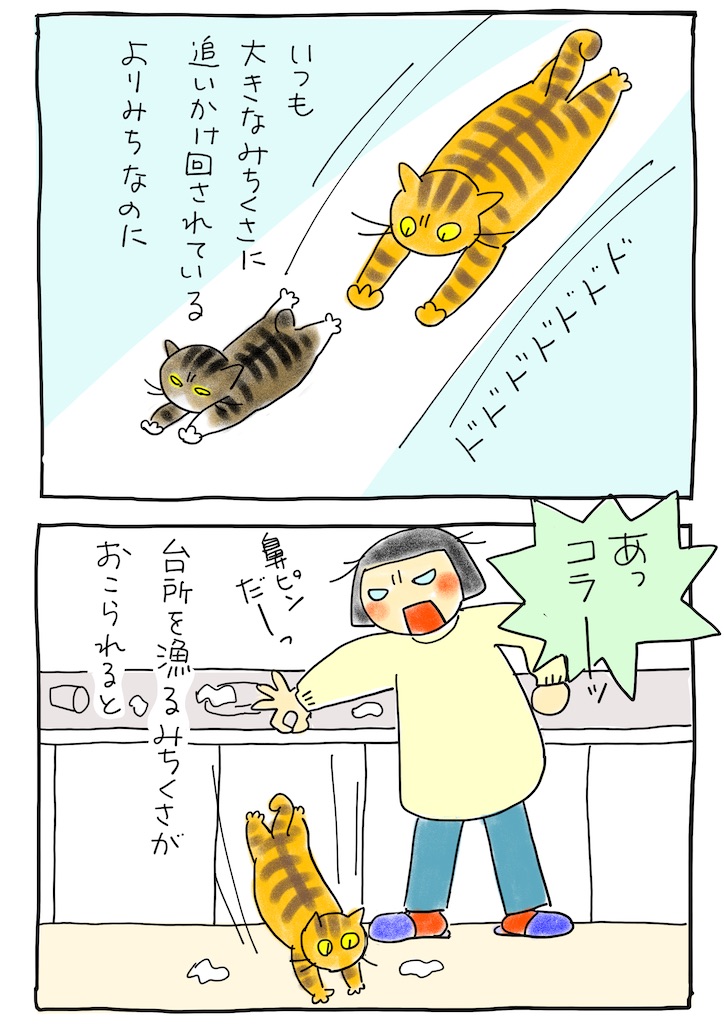 f:id:hitori-jikan:20221027213642j:image