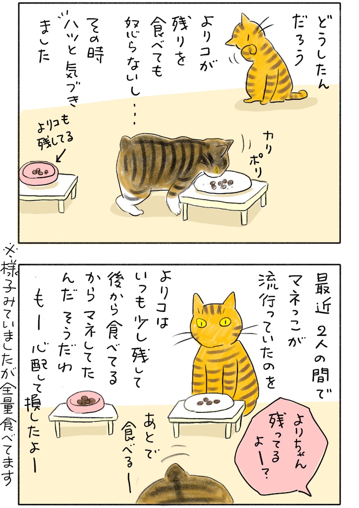 f:id:hitori-jikan:20260507222712j:image