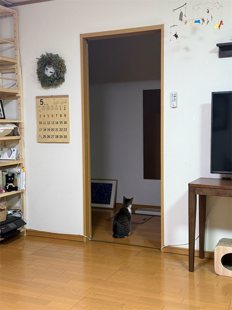 f:id:hitori-jikan:20260507223318j:image