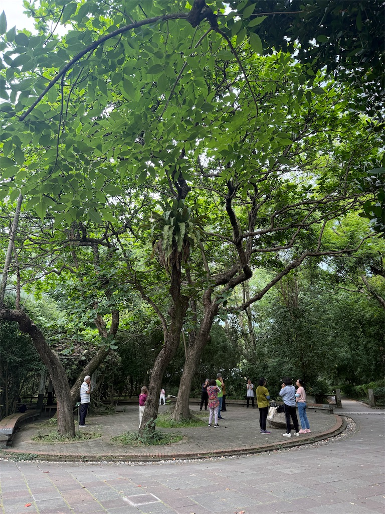 f:id:hitori-jikan:20260604144615j:image