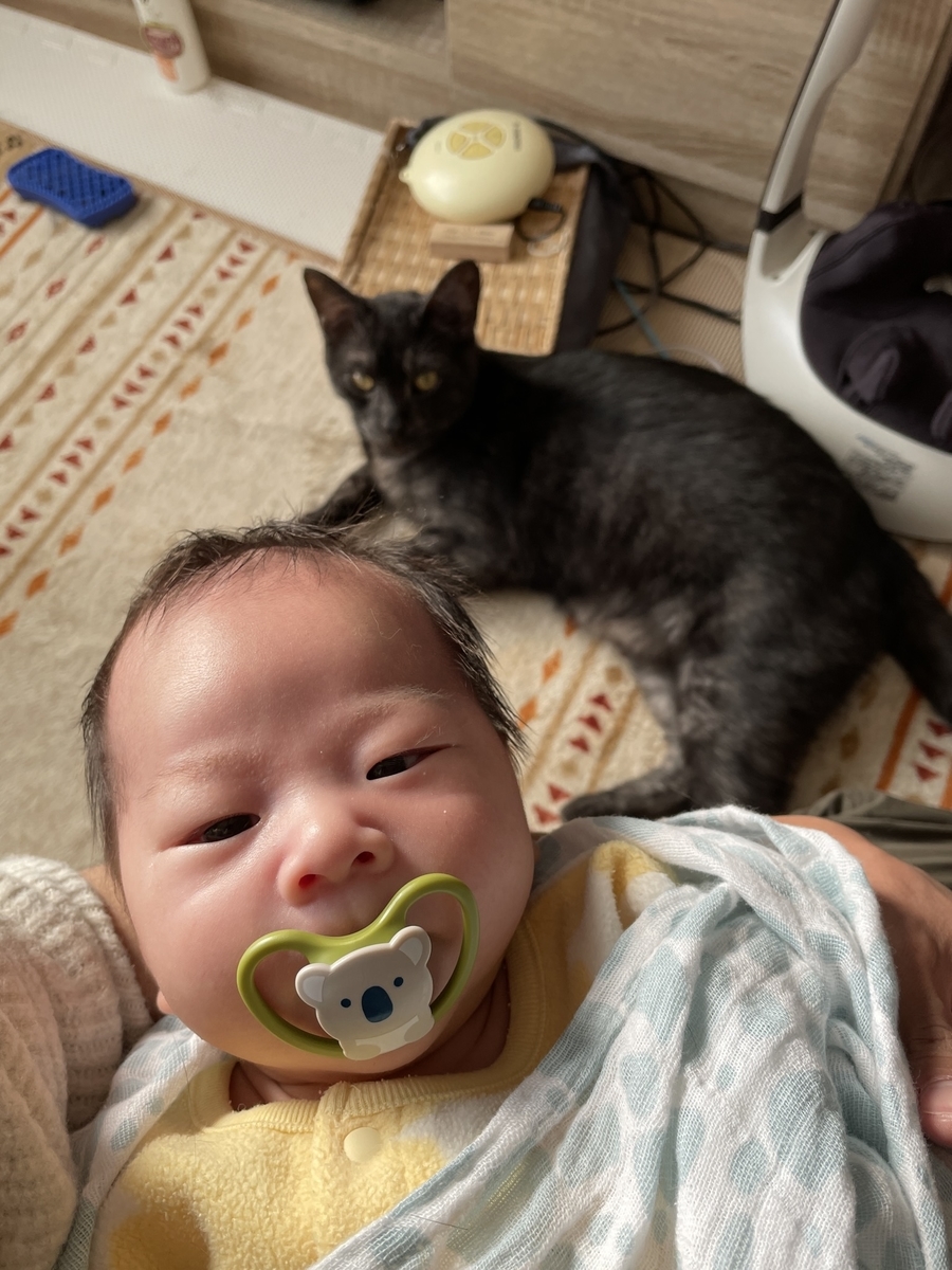 f:id:hitoribucho:20220103185300j:plain