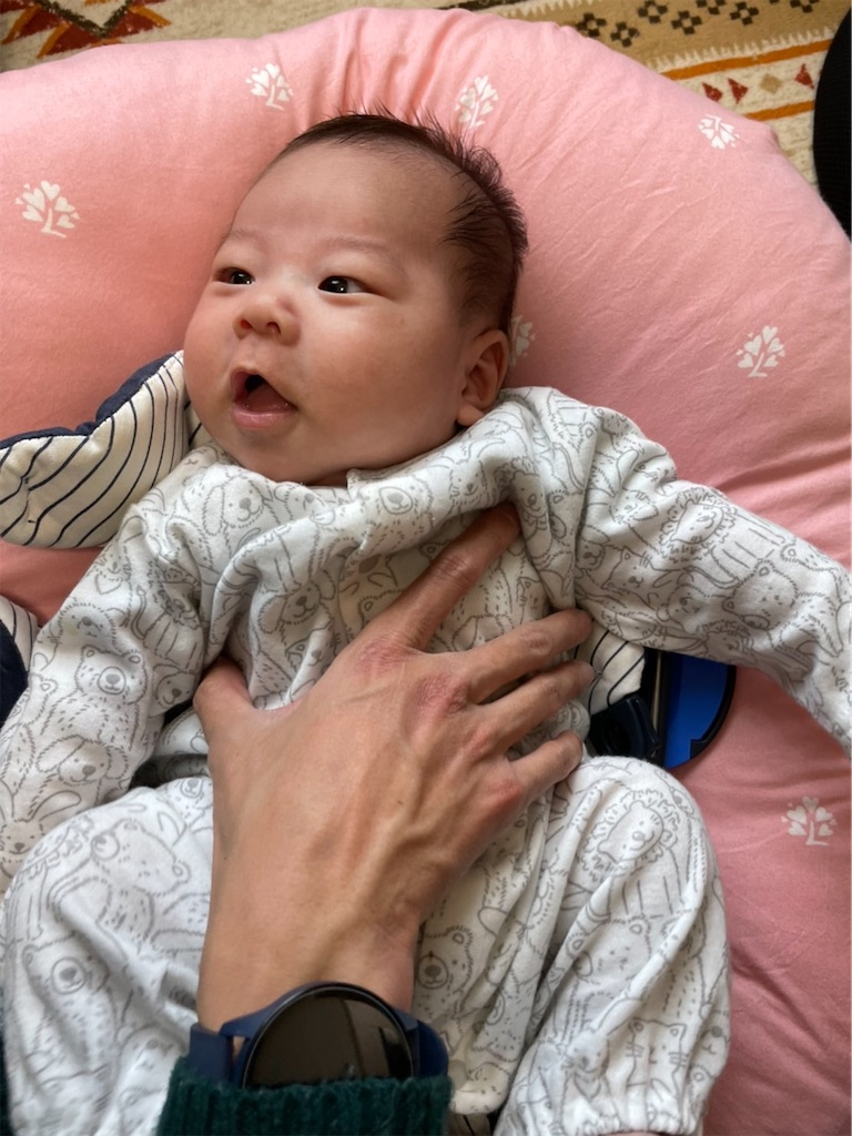 f:id:hitoribucho:20220119230330j:plain