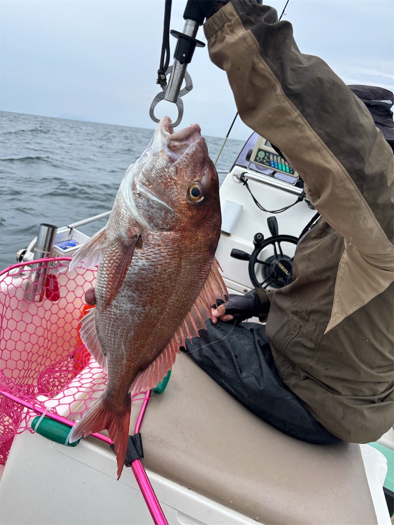 f:id:hitoridetsureru:20250810141553j:image f:id:hitoridetsureru:20250810141553j:image