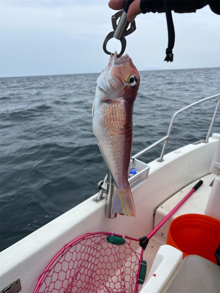 f:id:hitoridetsureru:20250810141557j:image f:id:hitoridetsureru:20250810141557j:image