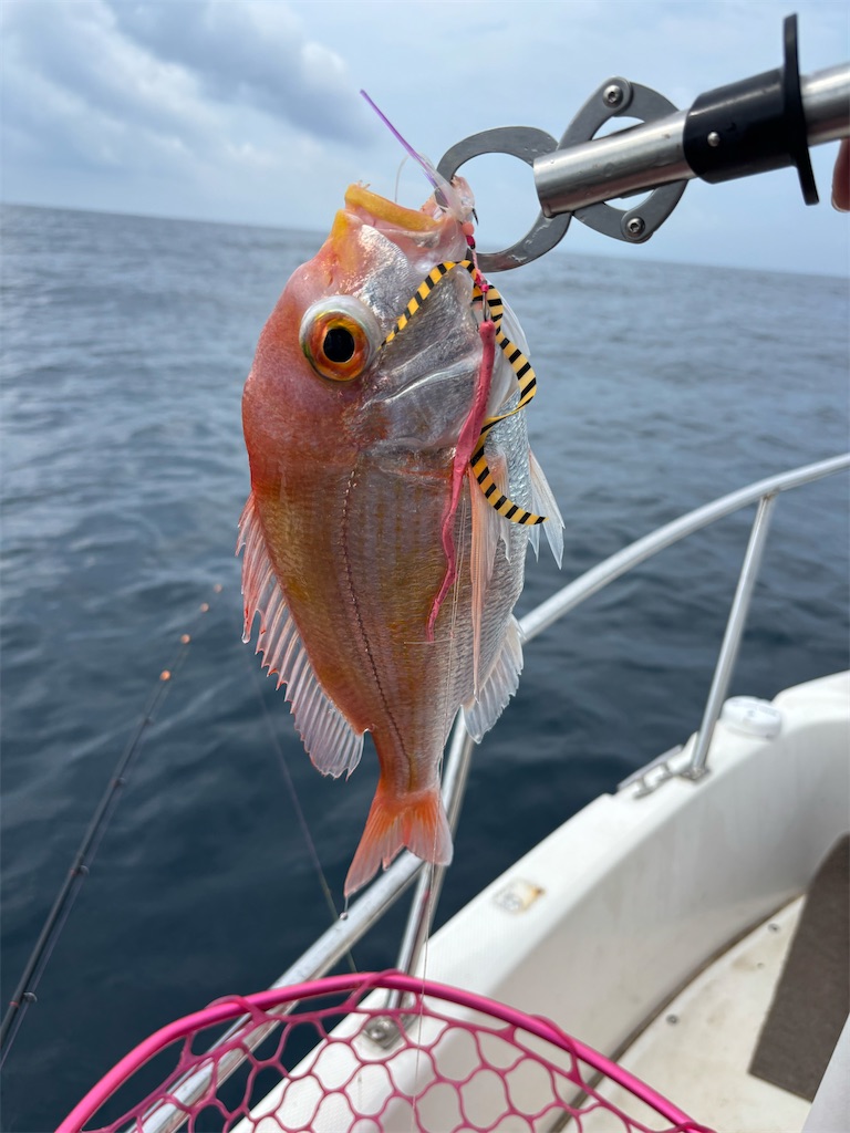 f:id:hitoridetsureru:20250824192136j:image f:id:hitoridetsureru:20250824192136j:image