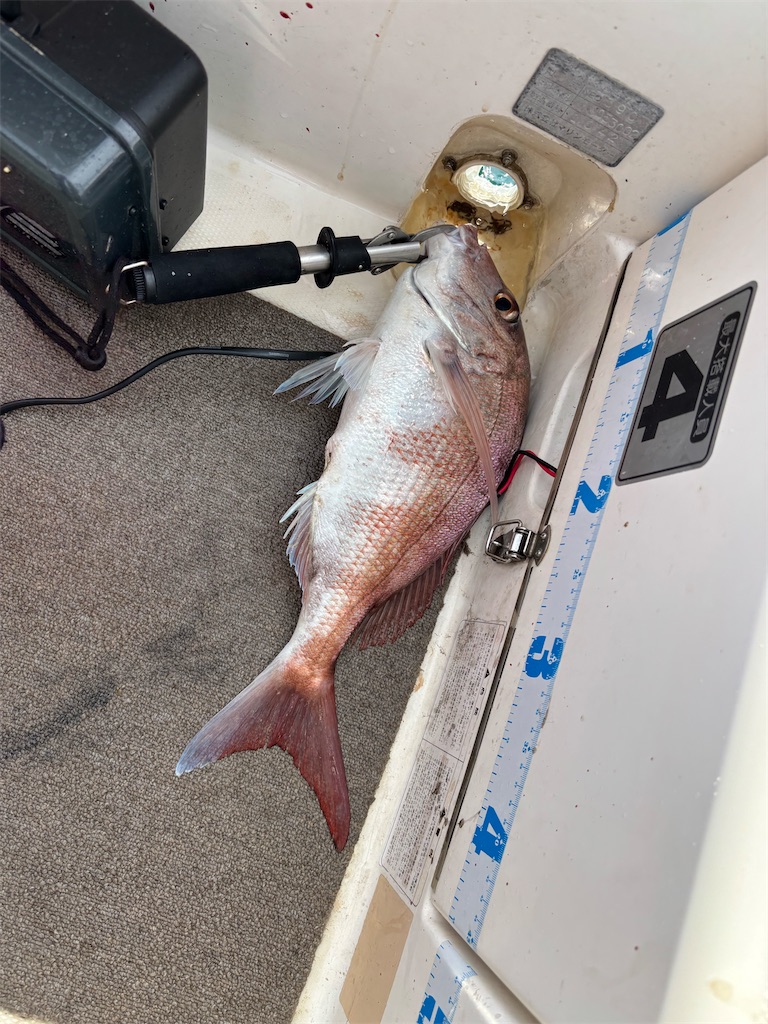 f:id:hitoridetsureru:20251004170153j:image f:id:hitoridetsureru:20251004170153j:image