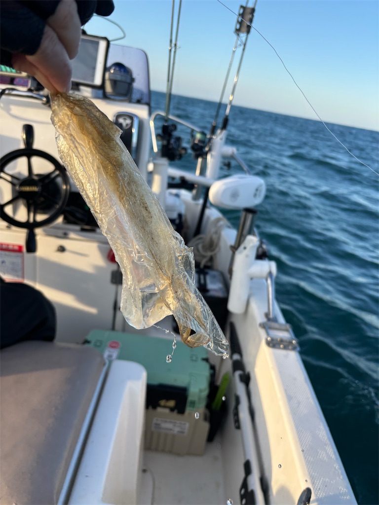 f:id:hitoridetsureru:20251004170318j:image f:id:hitoridetsureru:20251004170318j:image