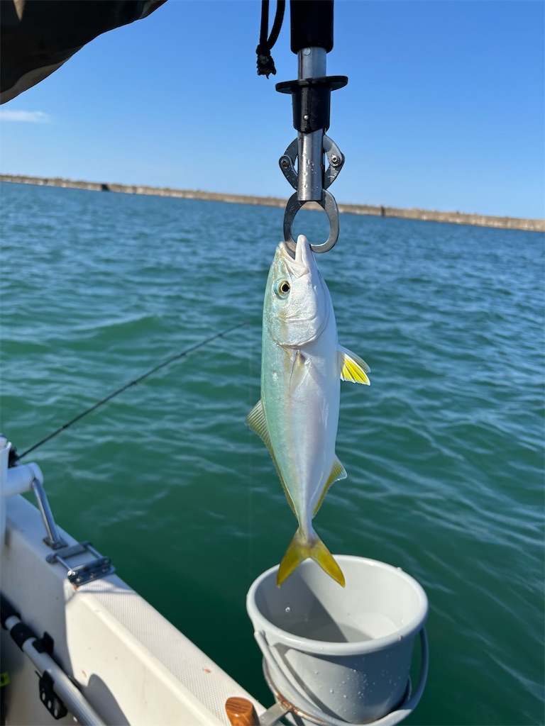 f:id:hitoridetsureru:20251004172227j:image f:id:hitoridetsureru:20251004172227j:image