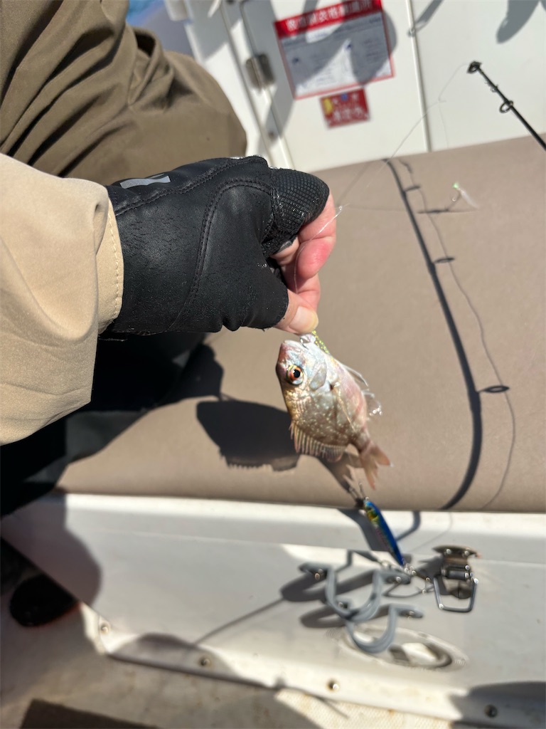 f:id:hitoridetsureru:20251004172402j:image f:id:hitoridetsureru:20251004172402j:image