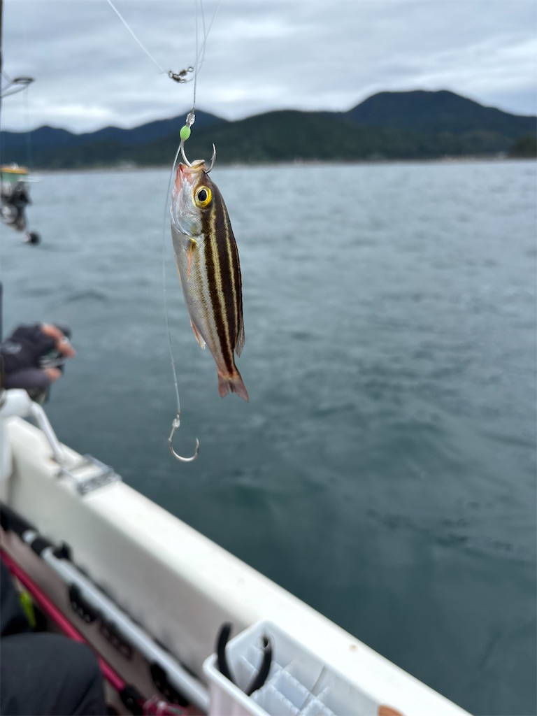 f:id:hitoridetsureru:20251005171738j:image f:id:hitoridetsureru:20251005171738j:image