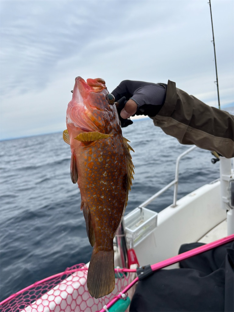 f:id:hitoridetsureru:20251012165643j:image f:id:hitoridetsureru:20251012165643j:image