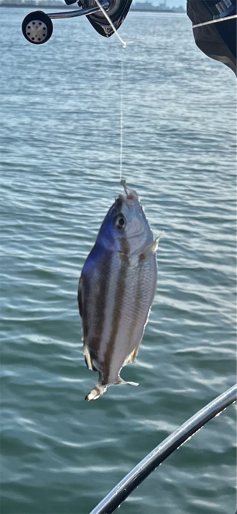 f:id:hitoridetsureru:20251025180243j:image f:id:hitoridetsureru:20251025180243j:image