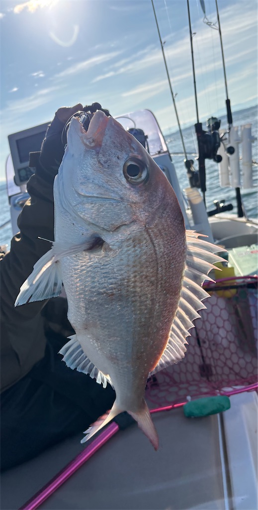 f:id:hitoridetsureru:20251025191925j:image f:id:hitoridetsureru:20251025191925j:image