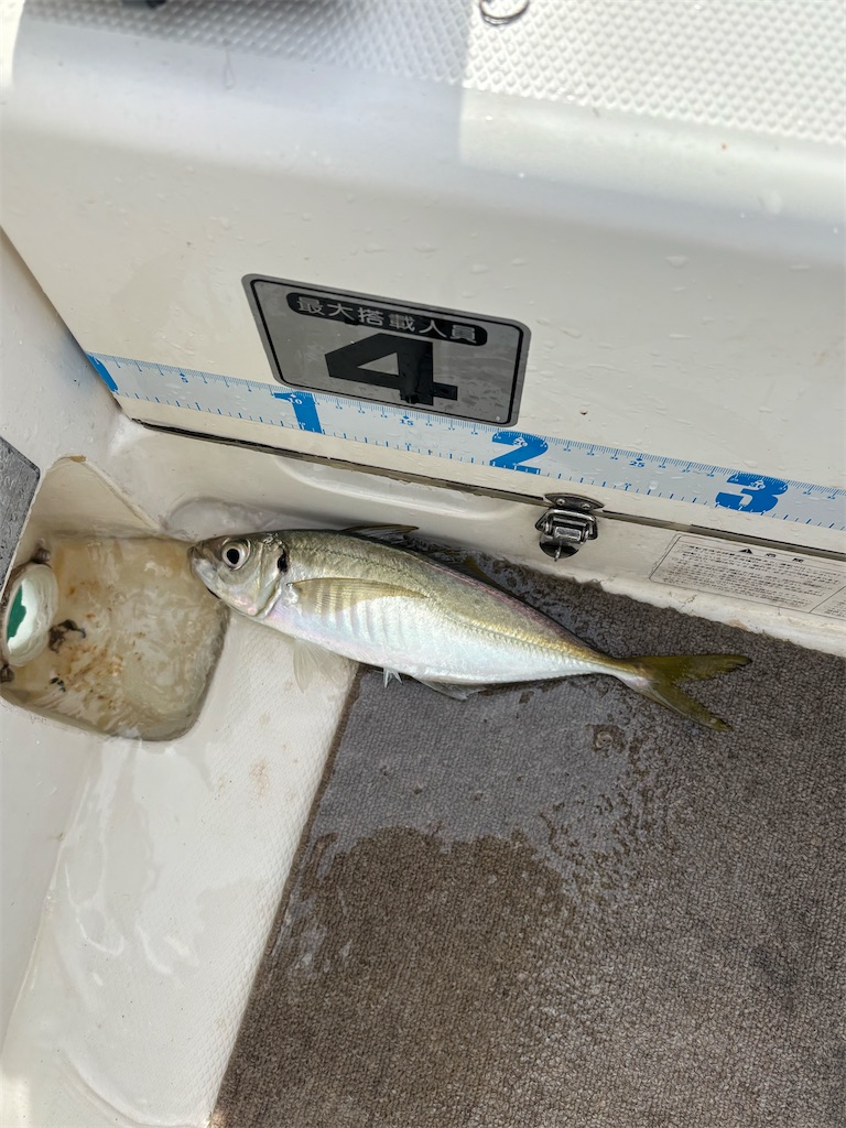 f:id:hitoridetsureru:20251025193041j:image f:id:hitoridetsureru:20251025193041j:image