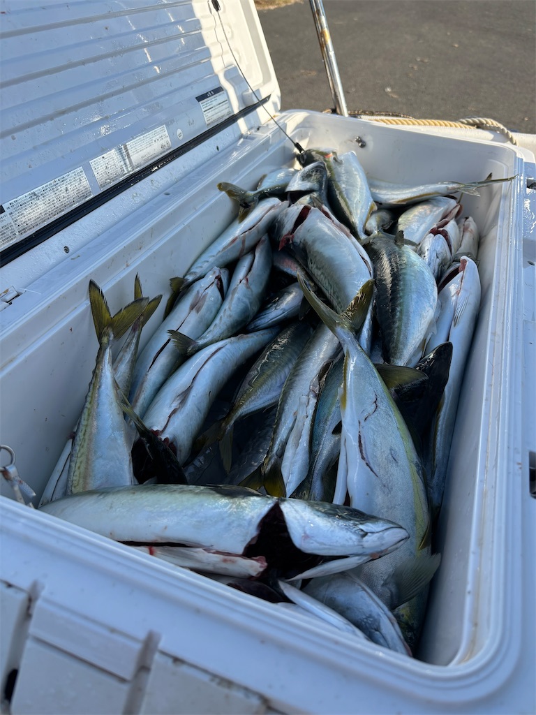 f:id:hitoridetsureru:20251116154817j:image f:id:hitoridetsureru:20251116154817j:image