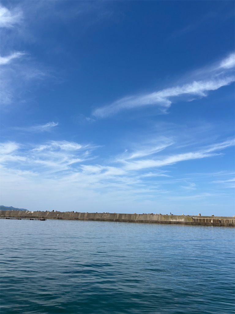 f:id:hitoridetsureru:20260531210609j:image f:id:hitoridetsureru:20260531210609j:image