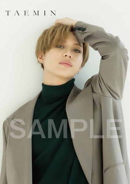 f:id:hitorigoto-5:20181113143147j:plain