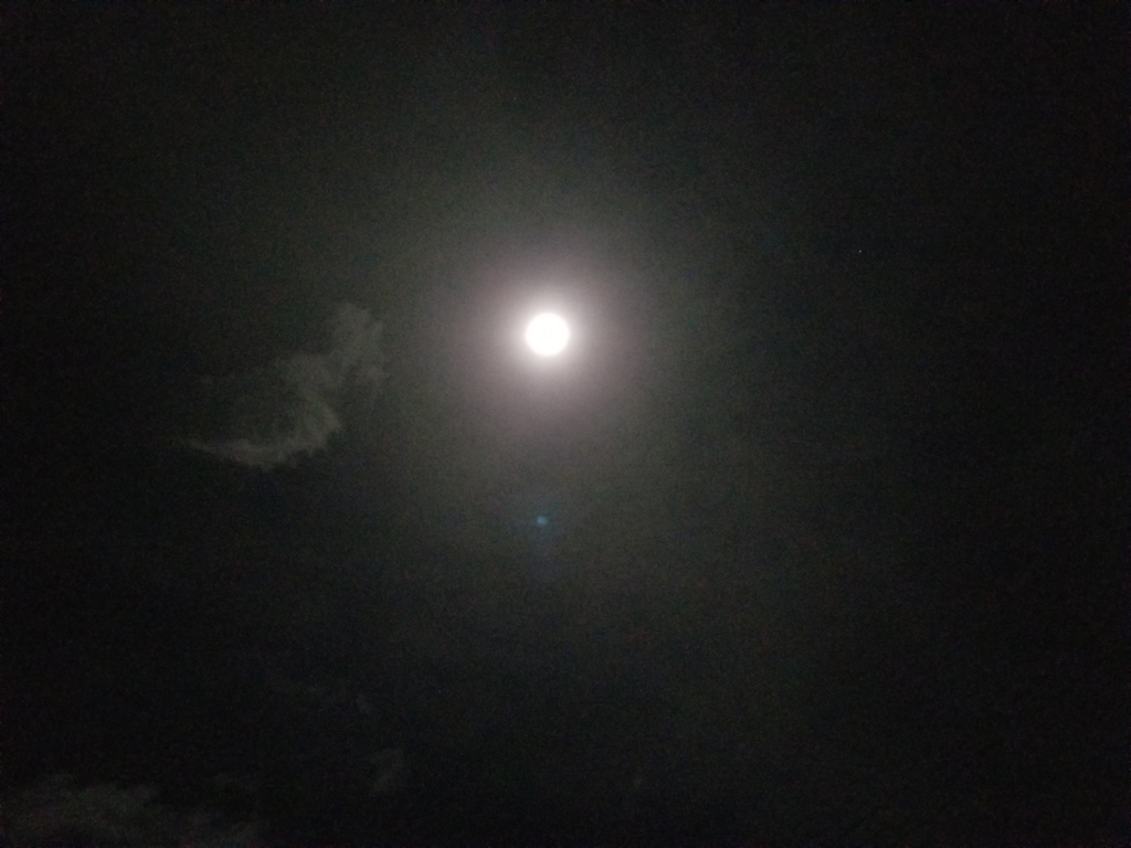 f:id:hitorigoto-5:20190121224845j:plain f:id:hitorigoto-5:20190121224845j:plain